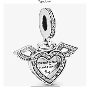 Silver Heart Wing Charm